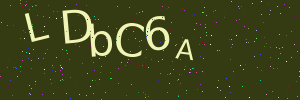 Validation image