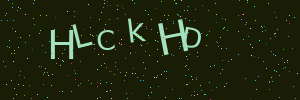 Validation image