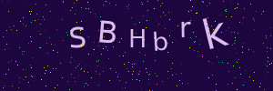 Validation image