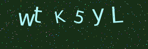 Validation image