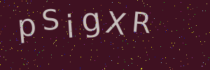 Validation image