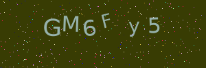 Validation image