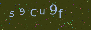 Validation image