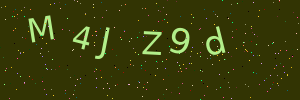 Validation image