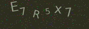 Validation image