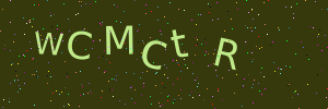 Validation image
