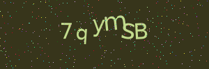 Validation image