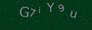 Validation image