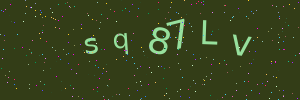 Validation image