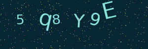 Validation image