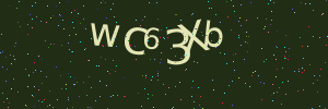 Validation image