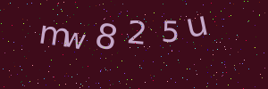 Validation image