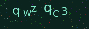 Validation image