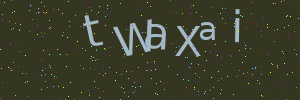 Validation image