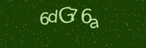 Validation image