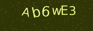 Validation image