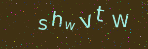 Validation image