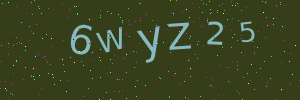 Validation image