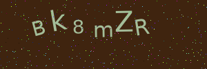 Validation image