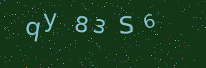 Validation image