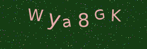 Validation image
